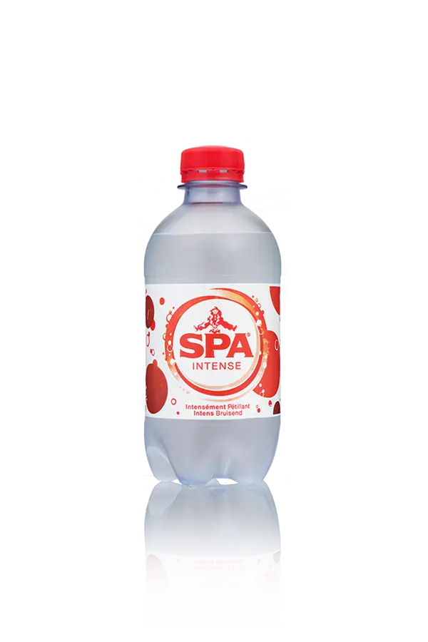 Spa Rood 0,33l PET